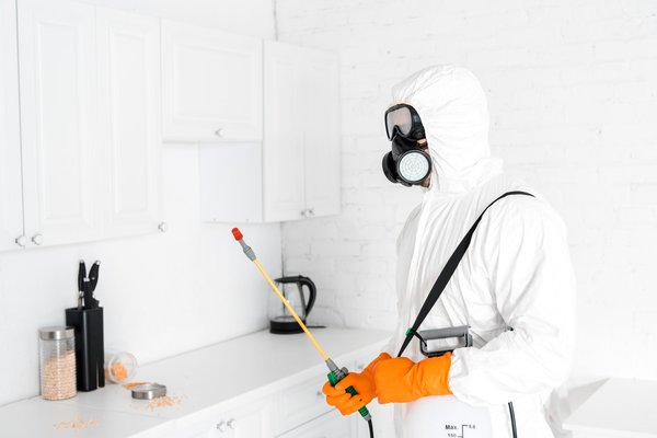 Les avantages de choisir un exterminateur certifié