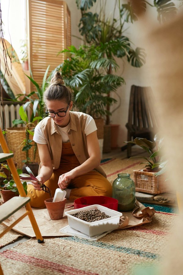 Quelles astuces pour intégrer des plantes dans un bureau à domicile ?